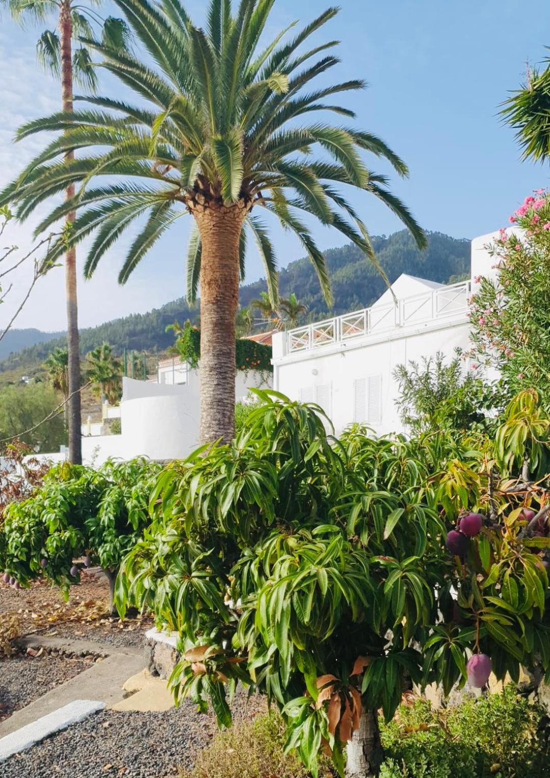Rural Jardines La Quinta Villa El Paso Exterior photo